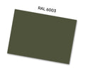 RAL6003