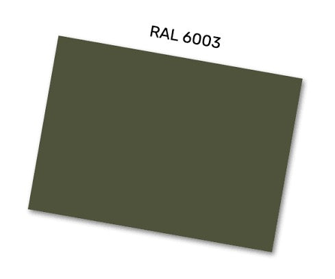 RAL6003